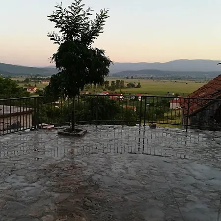 Irma Villa *